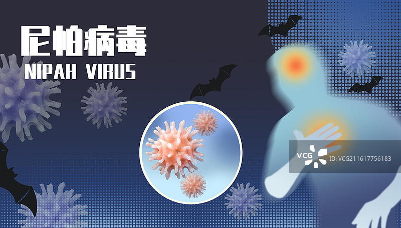 尼帕病毒图片素材