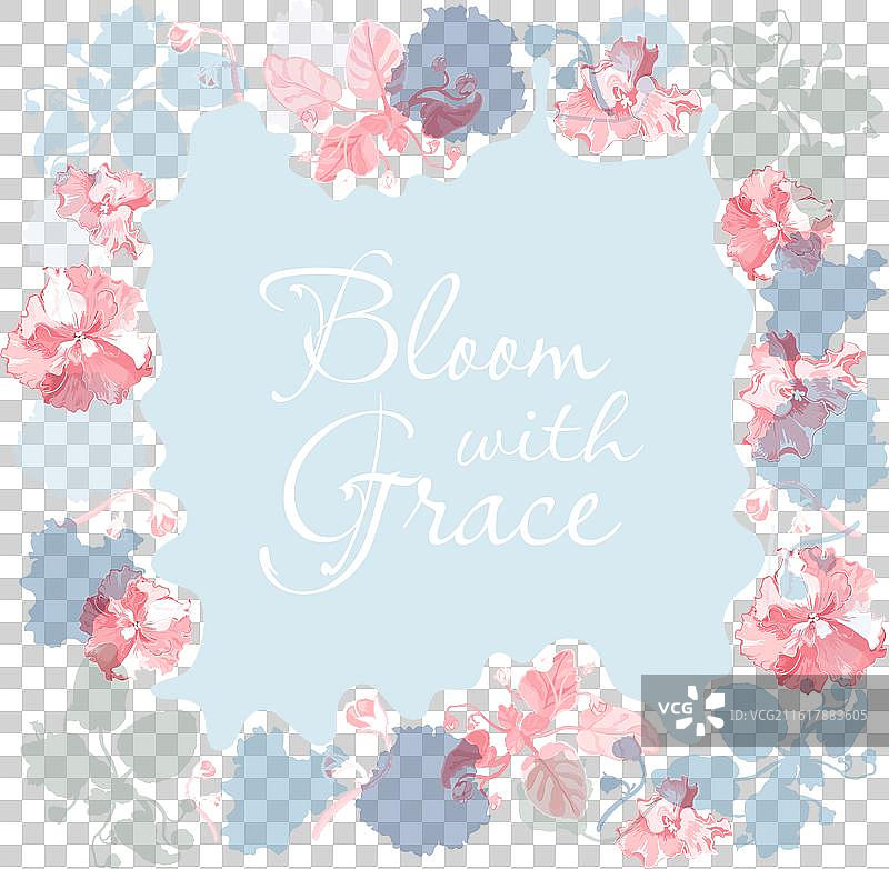 盛开的室内盆栽植物的孤立边框图片素材