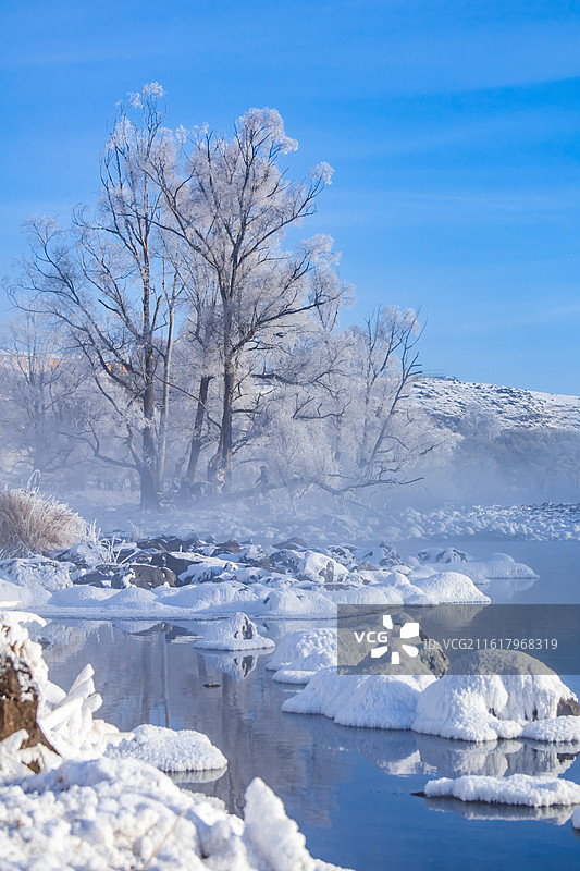 阿尔山 不冻河 呼伦贝尔 雪地 河流 水汽 牛图片素材