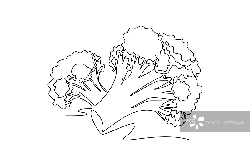 一幅描绘完整健康有机物的简笔画图片素材