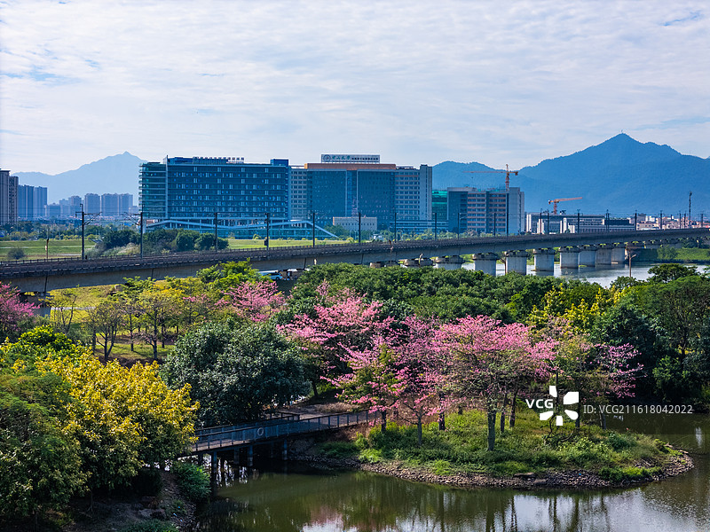 绿美肇庆鼎湖区航拍图片素材