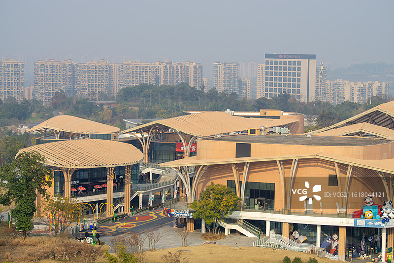 成都大熊猫繁育研究基地图片素材