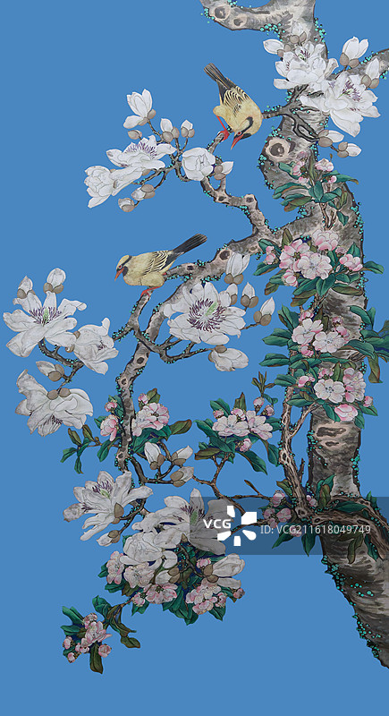 花卉，清代邹一桂，郎世宁绘画，玉兰图片素材