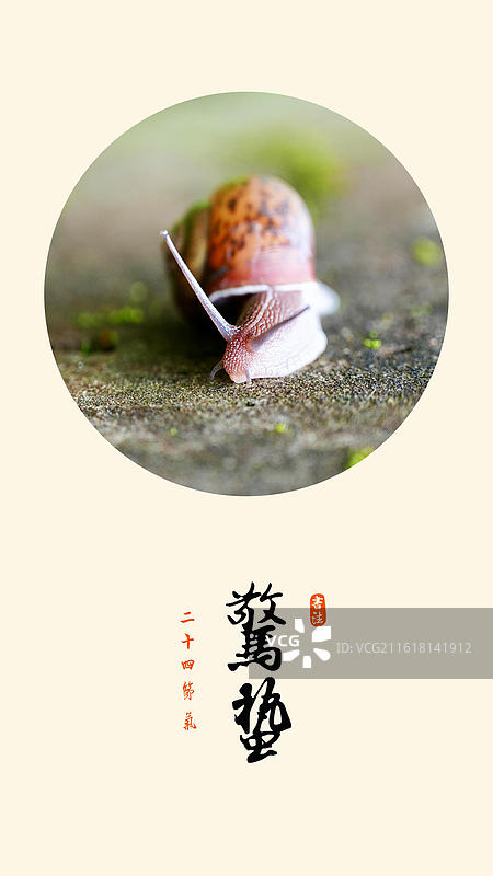 惊蛰 节气 春天 清新 昆虫 蜗牛 爬行 很慢图片素材