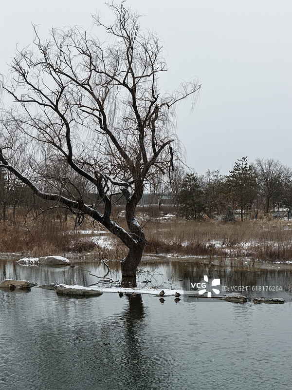 西安户县鄠邑区渼陂湖景区古建湖面雪景风光图片素材