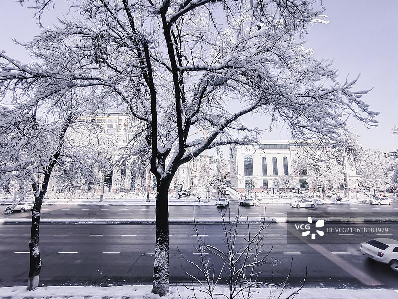 塔什干冬雪街景图片素材