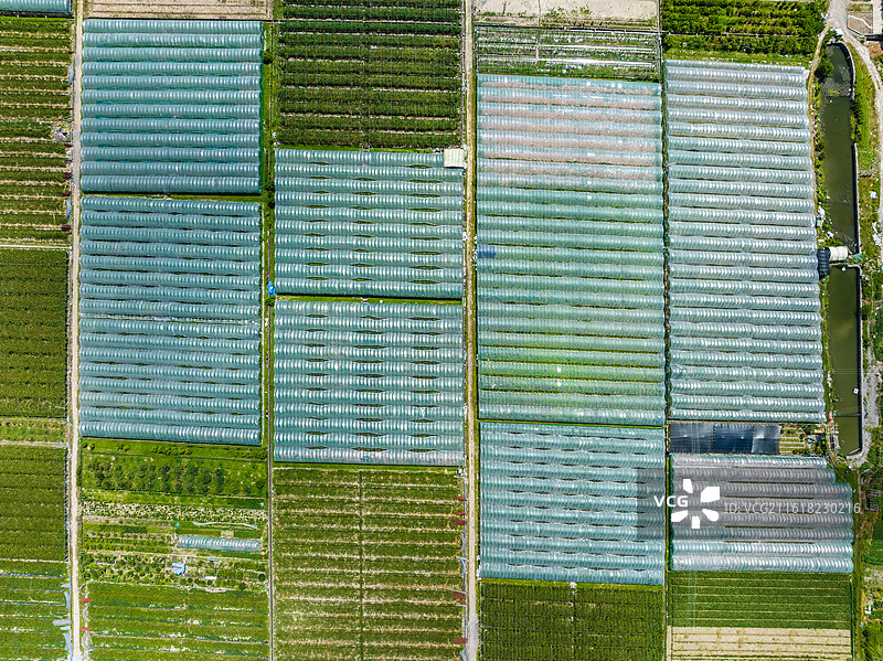 温岭市石桥头镇田园风光图片素材