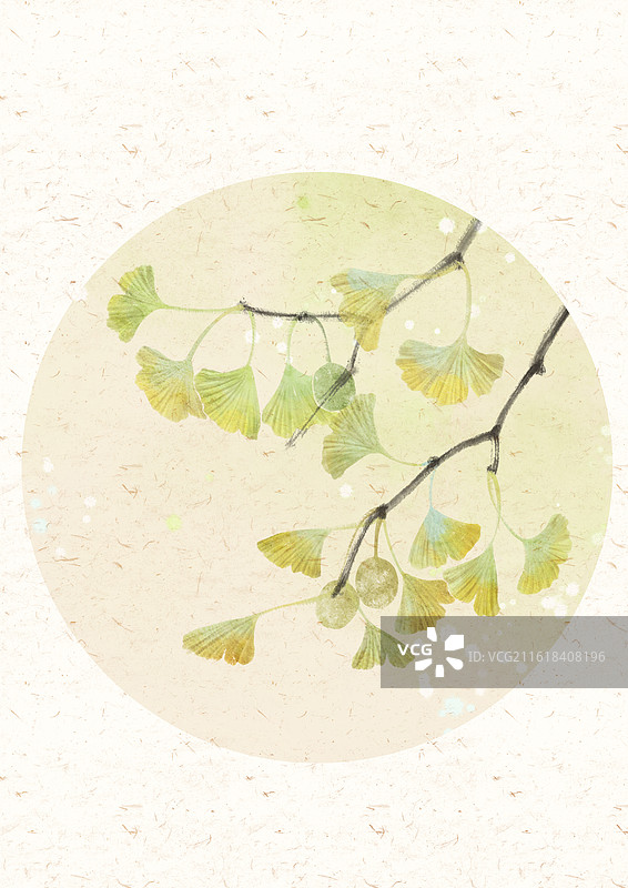 秋天银杏叶国风插画图片素材