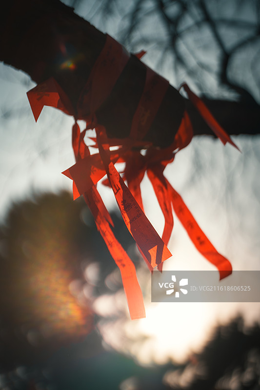 石家庄正定古城隆兴寺景区图片素材