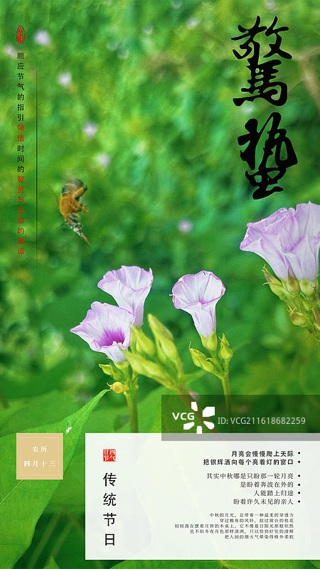 昆虫 摄影 节气 惊蛰 海报图片素材