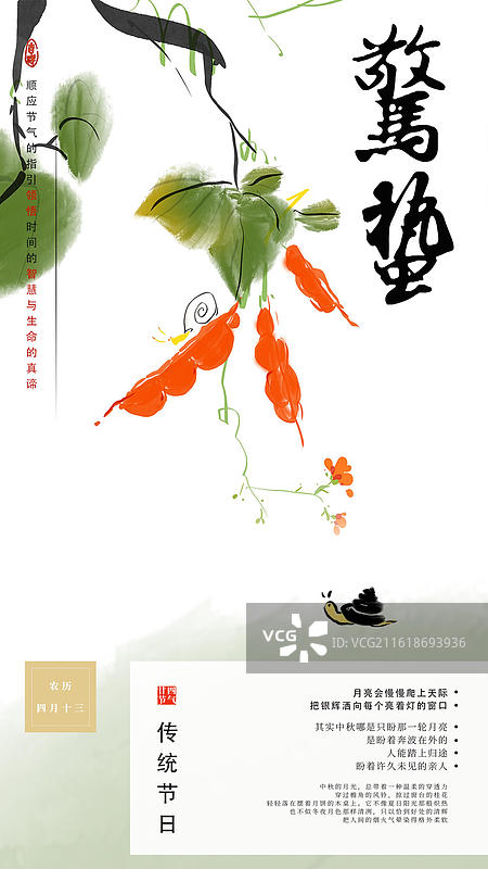 惊蛰 昆虫 可爱 蜗牛 爬行 很慢图片素材