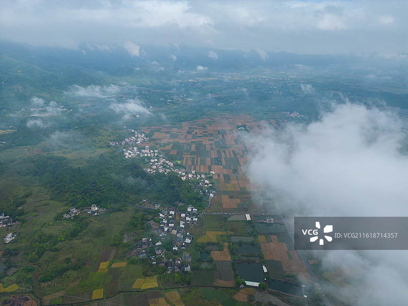 马兰稻田秋色，广东省阳江市阳春市图片素材