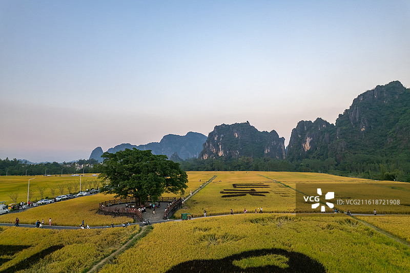 春北十里画廊稻田秋色，广东省阳江市阳春市春湾镇图片素材