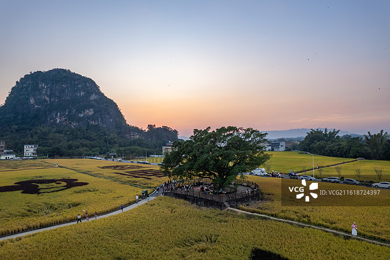 春北十里画廊稻田秋色，广东省阳江市阳春市春湾镇图片素材