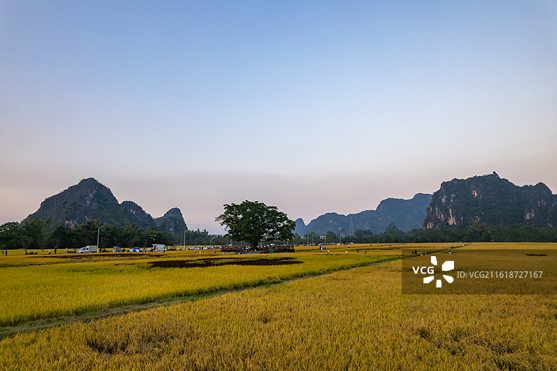 春北十里画廊稻田秋色，广东省阳江市阳春市春湾镇图片素材