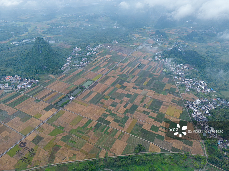 马兰稻田秋色，广东省阳江市阳春市图片素材