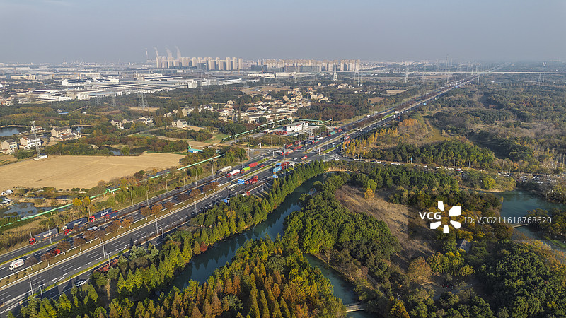 江苏常州新龙生态林-城市里的森林公园图片素材