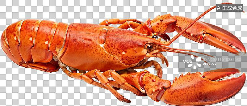 【AI数字艺术】一只煮熟的红色龙虾图片图片素材