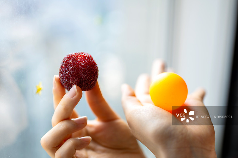 东魁杨梅特写图片素材