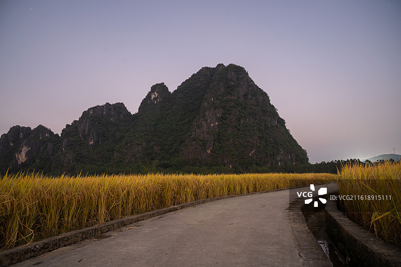 春北十里画廊稻田秋色，广东省阳江市阳春市春湾镇图片素材