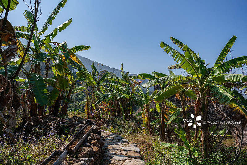 沧源翁丁古寨原始部落景区局部特写图片素材