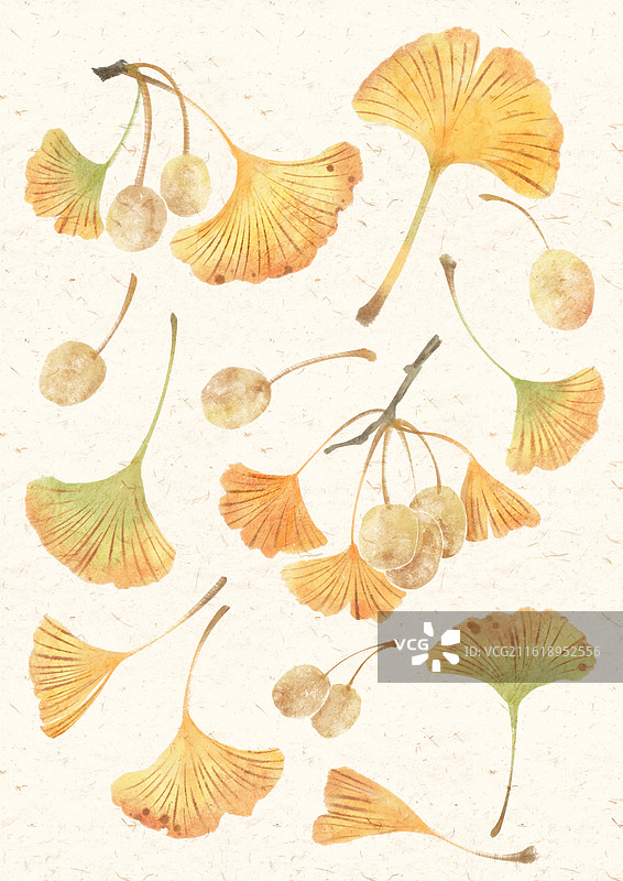 秋天银杏叶国风插画图片素材