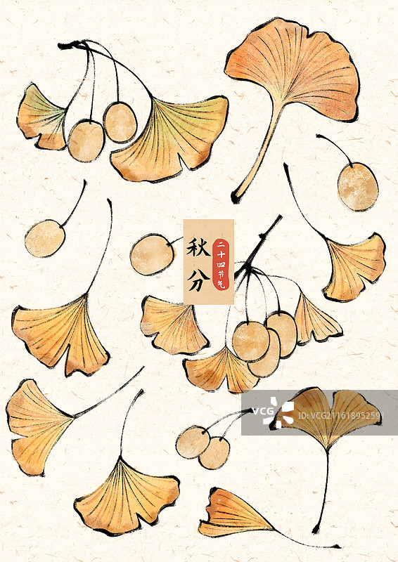 秋分银杏叶国风插画图片素材