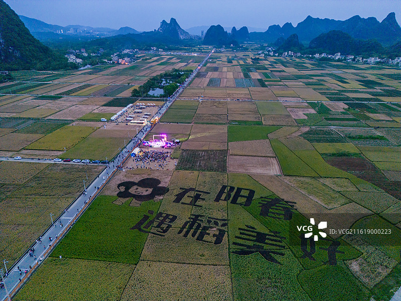 傍晚时的马兰稻田秋色（在阳春，遇到美好），广东省阳江市阳春市图片素材