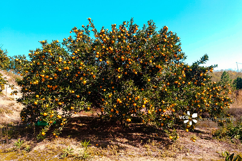 南丰县图片素材