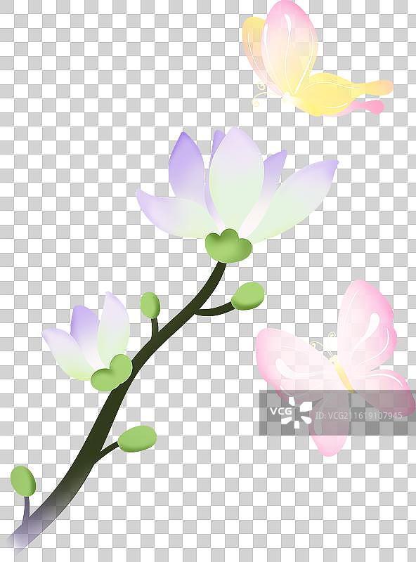 玉兰花和两只蝴蝶春分和惊蛰节气清新渐变插画图片素材