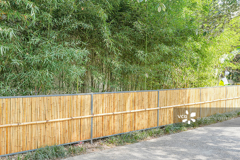 中国四川成都崇州道明竹艺村竹林图片素材