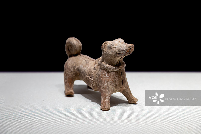 广灵县文旅局藏东汉陶狗图片素材
