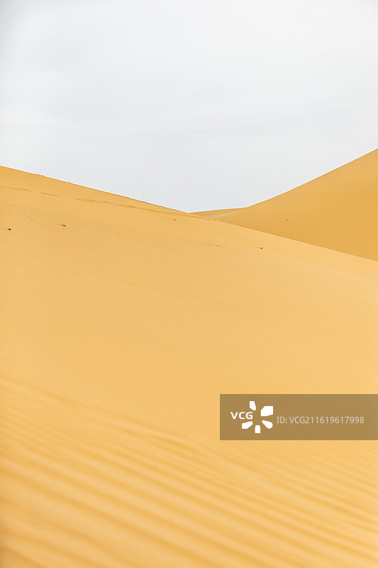 库布齐沙漠，沙漠纹理，沙漠纹理，沙漠背景，纹理，背景，金色背景，金色图片素材