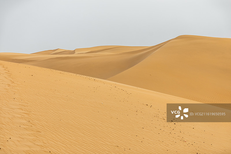 库布齐沙漠，沙漠纹理，沙漠纹理，沙漠背景，纹理，背景，金色背景，金色图片素材