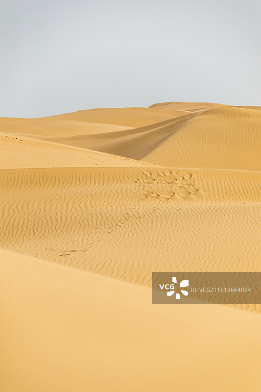 库布齐沙漠，沙漠纹理，沙漠纹理，沙漠背景，纹理，背景，金色背景，金色图片素材