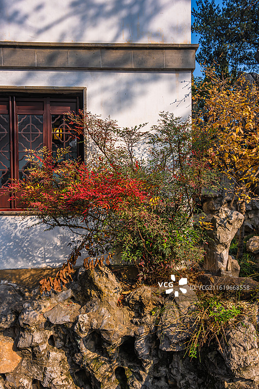苏州园林狮子林中式庭院和太湖石图片素材