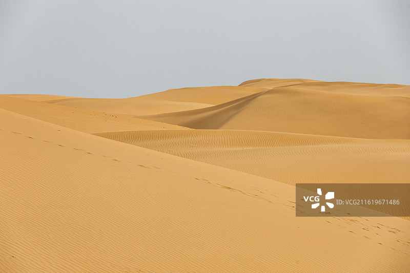 库布齐沙漠，沙漠纹理，沙漠纹理，沙漠背景，纹理，背景，金色背景，金色图片素材