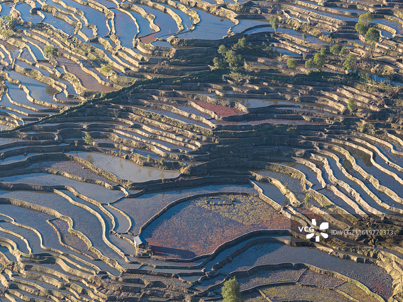 云南红河县宝华镇撒玛坝万亩梯田图片素材