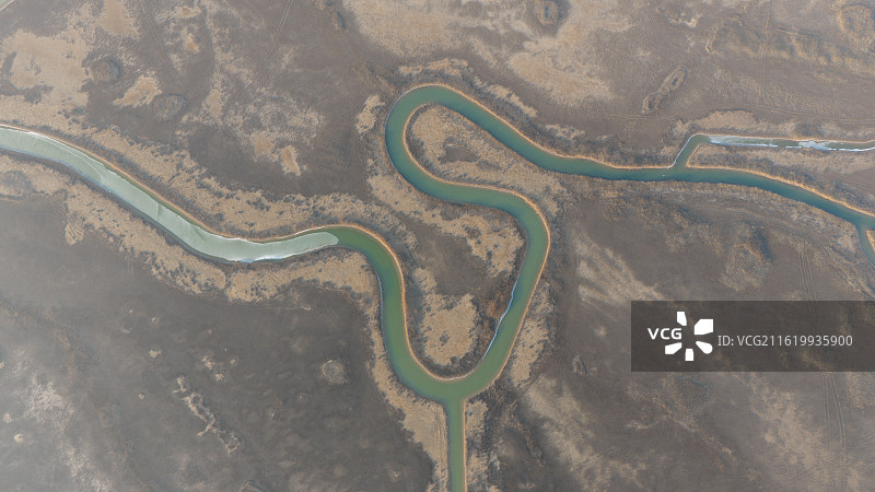 雪后黄河入海口的潮汐树图片素材