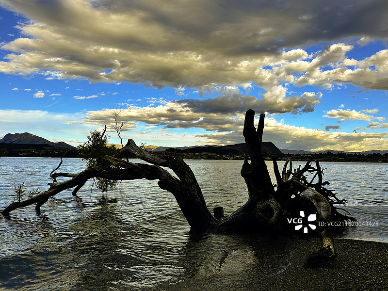 湖中枯桩图片素材