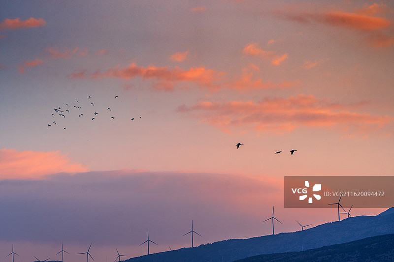 霞光里的追风者图片素材