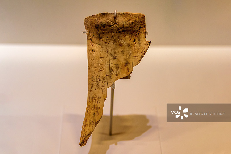中国河南安阳殷墟博物馆馆藏刻辞卜骨图片素材