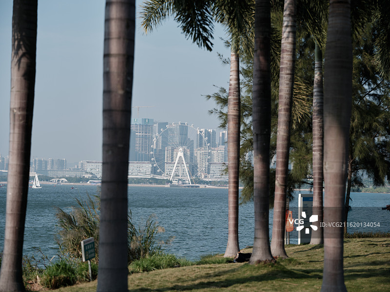 深圳南山前海石公园欢乐港湾湾区之光摩天轮图片素材