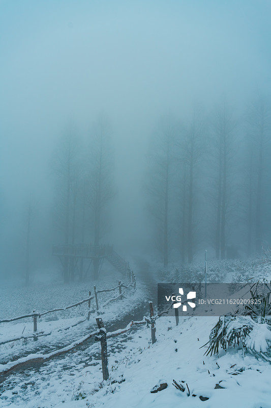 雪中同盘顶图片素材