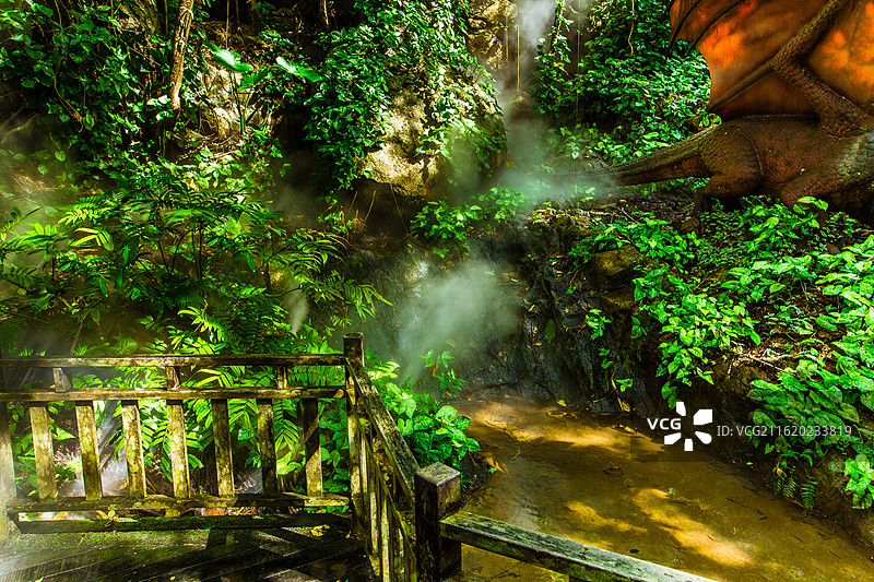 中国海南省保亭黎族苗族自治县，呀诺达雨林文化旅游区原始森林景观图片素材