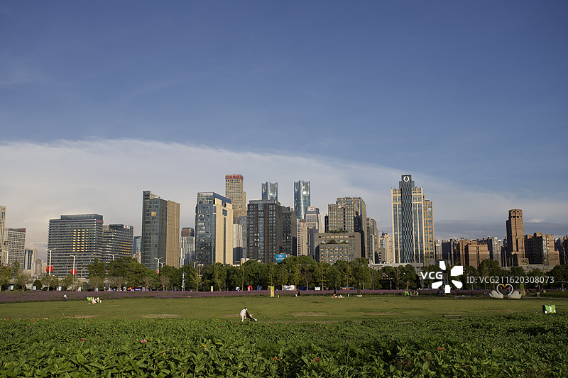 南昌市新建区礼步湖花海日落时分景色 城市花园风景图片素材