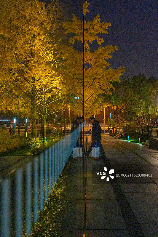 北京商务区秋季银杏叶夜景灯光图片素材
