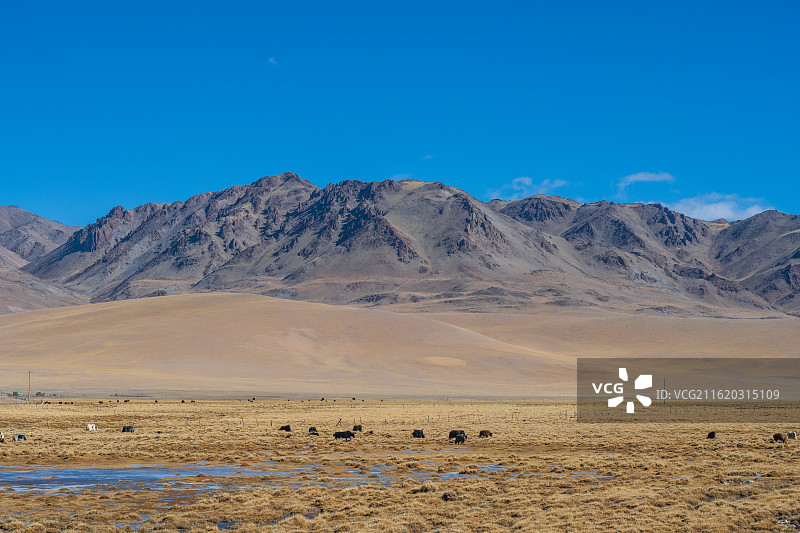 西藏自治区阿里地区那曲市国道公路白天沿途风景图片素材