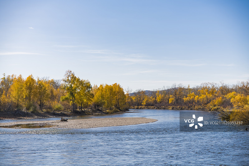 呼伦贝尔，额尔古纳的秋天景观，金色树林，蓝色水面图片素材