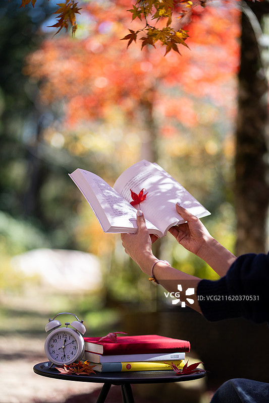 秋天午后阳光阅读与时间图片素材